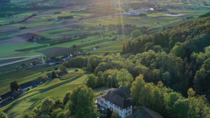 Restaurant Thurberg